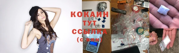 mix Богородицк