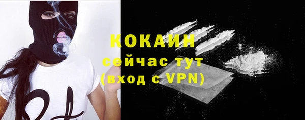 mix Богородицк