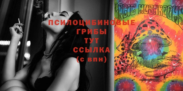 тгк Беломорск