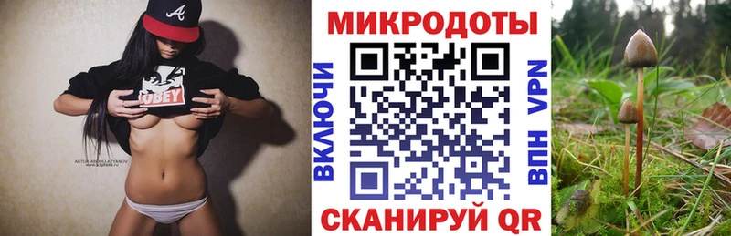 Псилоцибиновые грибы мицелий  Княгинино 